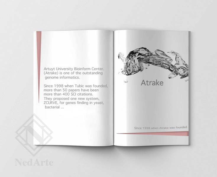 Nedarte – Mise en page – ATRAKE